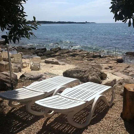 Lavanda Umag